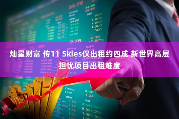 灿星财富 传11 Skies仅出租约四成 新世界高层担忧项目出租难度