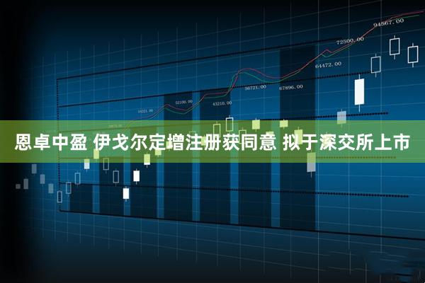 恩卓中盈 伊戈尔定增注册获同意 拟于深交所上市