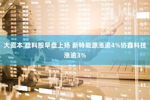 大资本 硅料股早盘上扬 新特能源涨逾4%协鑫科技涨逾3%