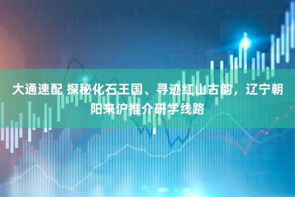 大通速配 探秘化石王国、寻迹红山古韵，辽宁朝阳来沪推介研学线路