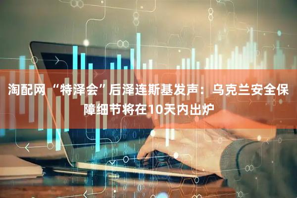 淘配网 “特泽会”后泽连斯基发声：乌克兰安全保障细节将在10天内出炉