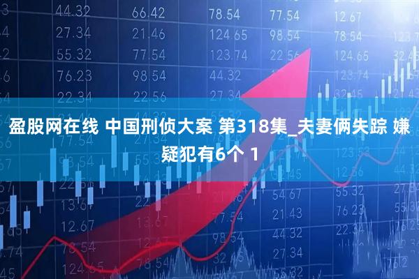 盈股网在线 中国刑侦大案 第318集_夫妻俩失踪 嫌疑犯有6个 1