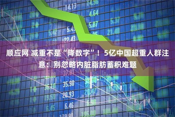 顺应网 减重不是“降数字”！5亿中国超重人群注意：别忽略内脏脂肪蓄积难题
