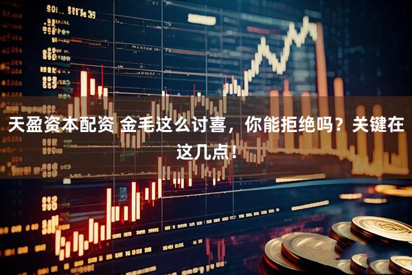 天盈资本配资 金毛这么讨喜，你能拒绝吗？关键在这几点！