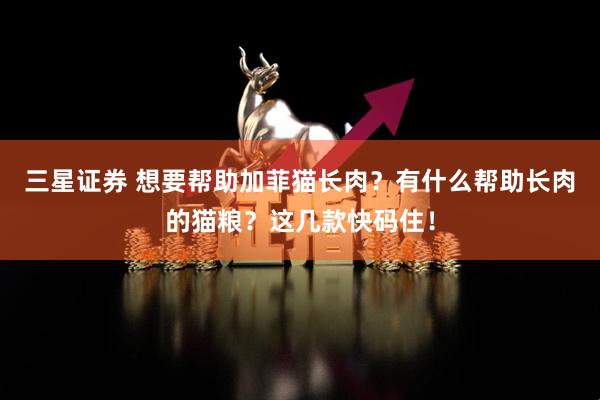 三星证券 想要帮助加菲猫长肉？有什么帮助长肉的猫粮？这几款快码住！