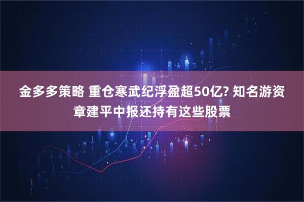 金多多策略 重仓寒武纪浮盈超50亿? 知名游资章建平中报还持有这些股票