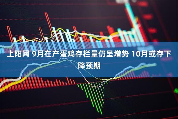 上阳网 9月在产蛋鸡存栏量仍呈增势 10月或存下降预期